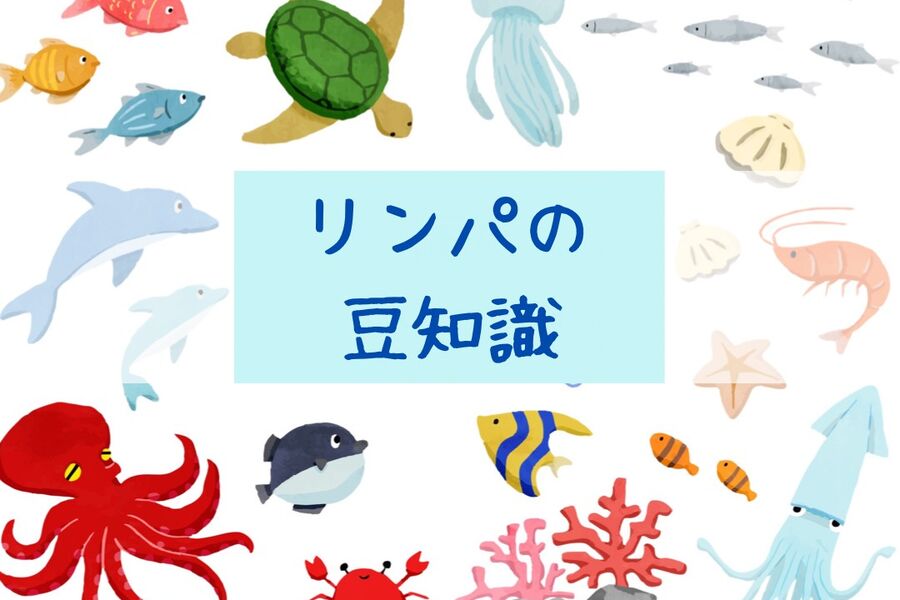 image_6483441 (2)